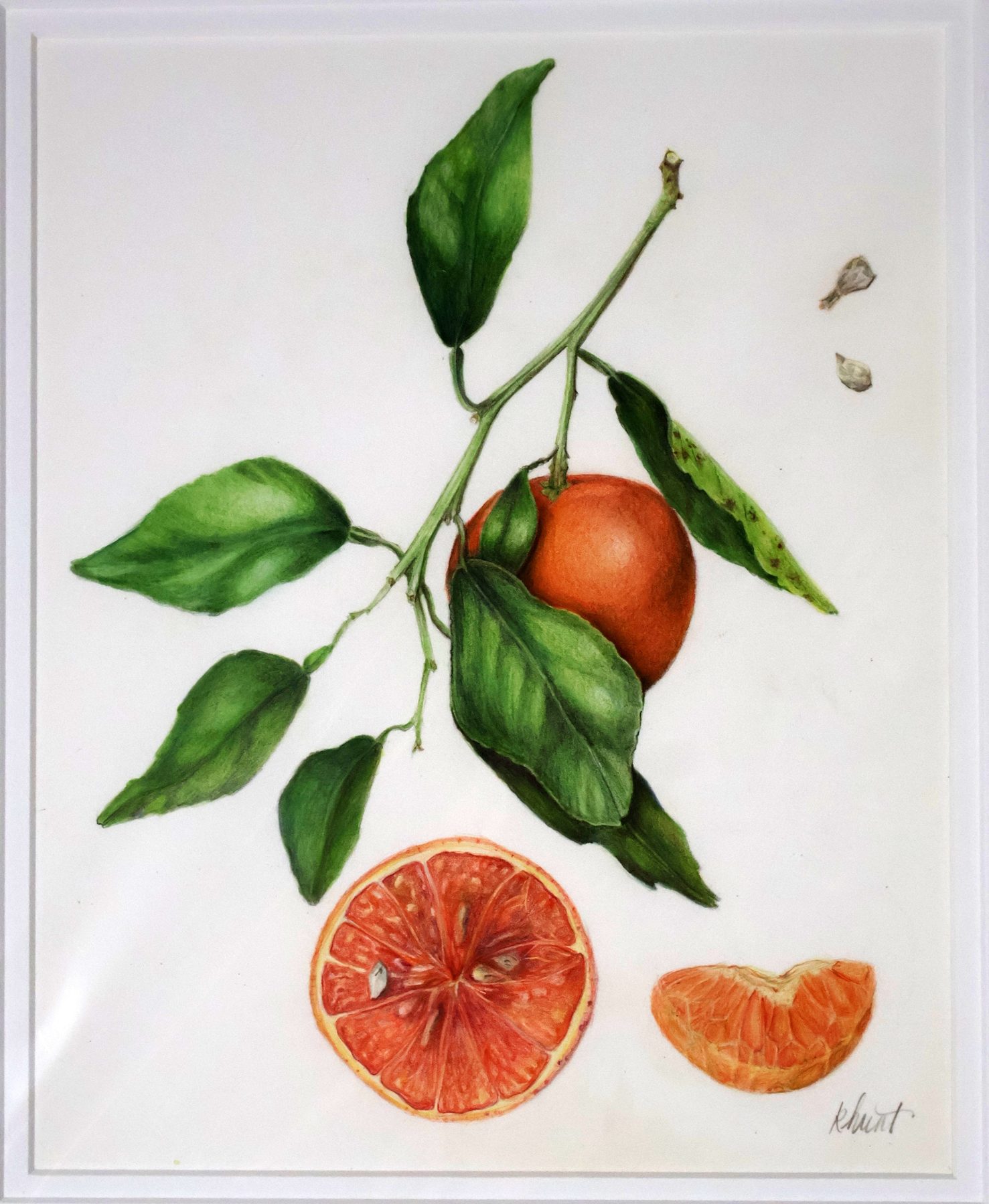 Tangerine Fruits